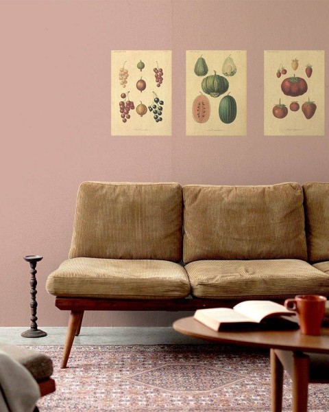 Flax Art Poster | Encyclopedia Fruit B | FWP-AP-EN3B
